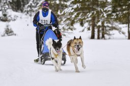 Kandersteg 2014 WM