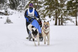 Kandersteg 2014 WM