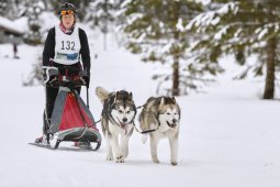 Kandersteg 2014 WM