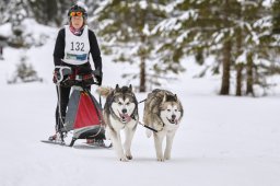 Kandersteg 2014 WM