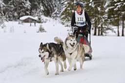 Kandersteg 2014 WM