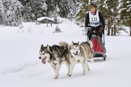 Kandersteg 2014 WM