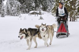 Kandersteg 2014 WM