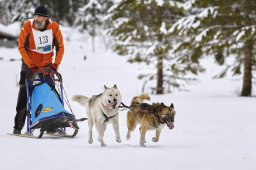 Kandersteg 2014 WM