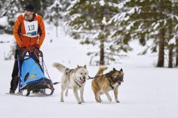 Kandersteg 2014 WM