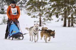 Kandersteg 2014 WM