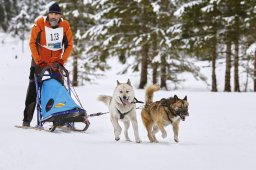 Kandersteg 2014 WM