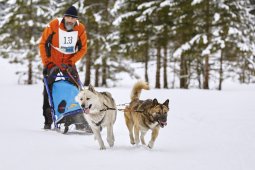 Kandersteg 2014 WM