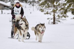 Kandersteg 2014 WM