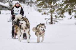 Kandersteg 2014 WM