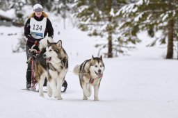 Kandersteg 2014 WM