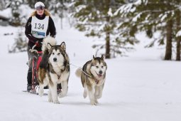 Kandersteg 2014 WM