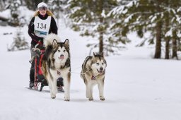 Kandersteg 2014 WM