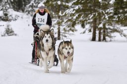 Kandersteg 2014 WM