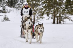 Kandersteg 2014 WM