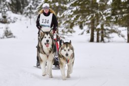 Kandersteg 2014 WM