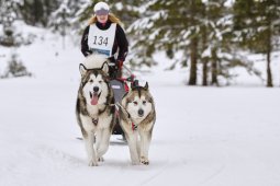 Kandersteg 2014 WM