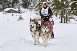 Kandersteg 2014 WM