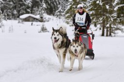 Kandersteg 2014 WM