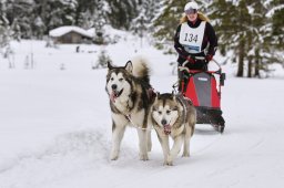 Kandersteg 2014 WM