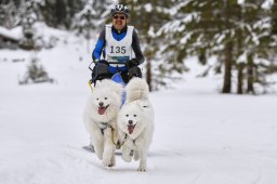 Kandersteg 2014 WM