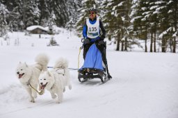 Kandersteg 2014 WM