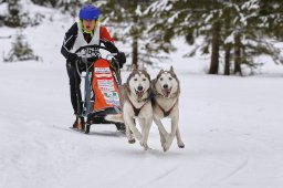 Kandersteg 2014 WM