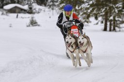 Kandersteg 2014 WM