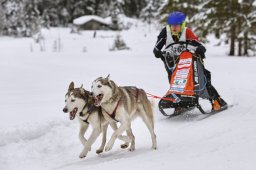 Kandersteg 2014 WM