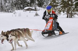 Kandersteg 2014 WM