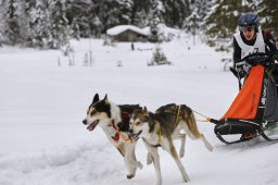 Kandersteg 2014 WM