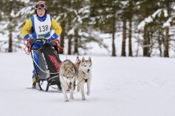 Kandersteg 2014 WM