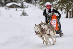 Kandersteg 2014 WM