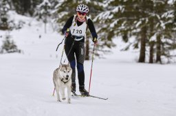 Kandersteg 2014 WM