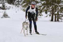 Kandersteg 2014 WM