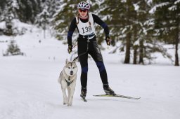 Kandersteg 2014 WM