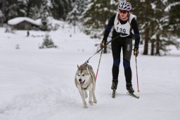 Kandersteg 2014 WM