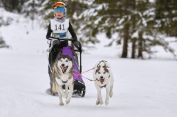 Kandersteg 2014 WM