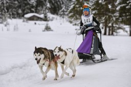 Kandersteg 2014 WM