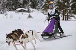 Kandersteg 2014 WM