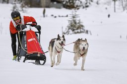 Kandersteg 2014 WM