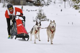 Kandersteg 2014 WM