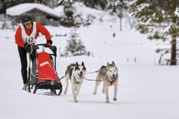 Kandersteg 2014 WM