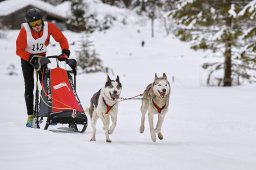 Kandersteg 2014 WM