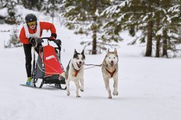 Kandersteg 2014 WM