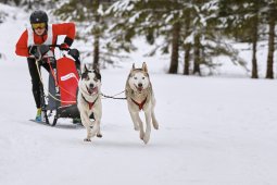 Kandersteg 2014 WM