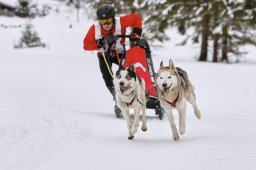 Kandersteg 2014 WM