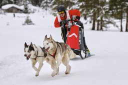 Kandersteg 2014 WM