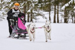 Kandersteg 2014 WM