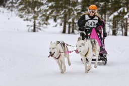 Kandersteg 2014 WM